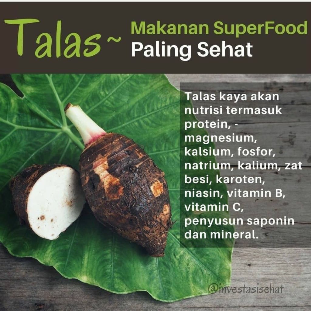 Ada magnesium disana, ada protein disana, ada kalsium disana, ada pospor disana, ada besi, ada karoten, niasin, vit B, vit C, saponin dan mineral penting lainnya